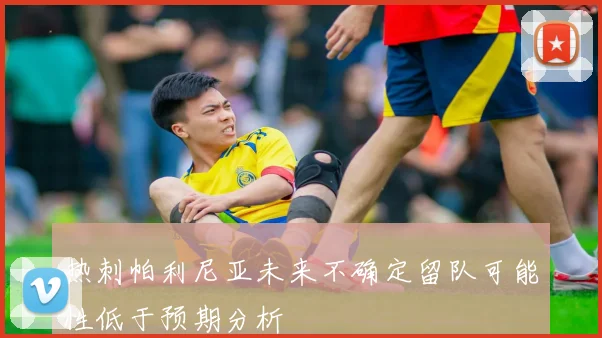 热刺帕利尼亚未来不确定留队可能性低于预期分析