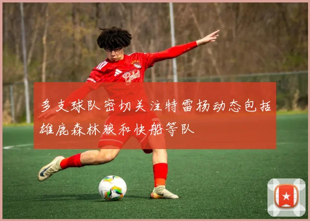 多支球队密切关注特雷杨动态包括雄鹿森林狼和快船等队