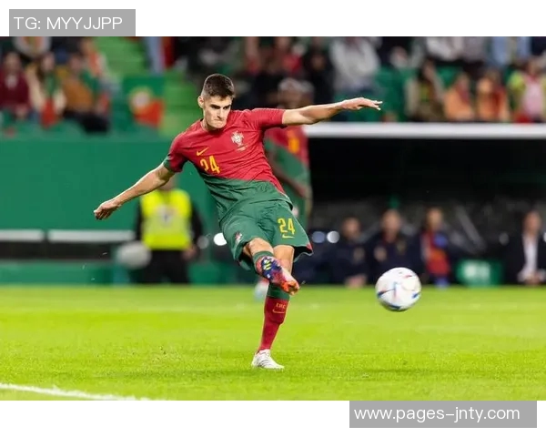 若昂内维斯强调团队荣誉优先于金球奖追求